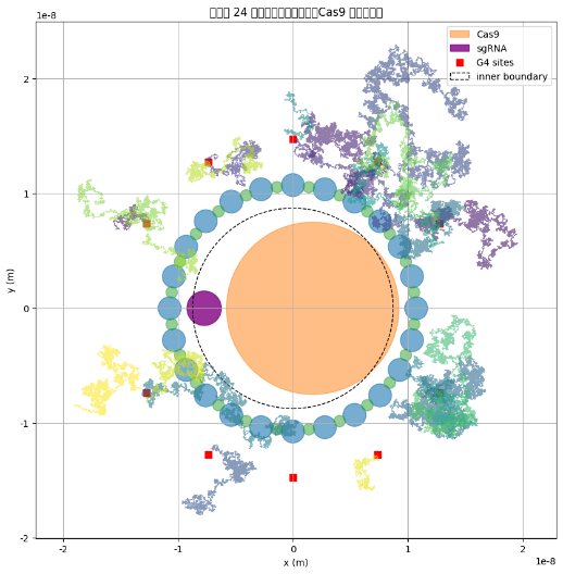 Brownian diffusion model around DNA origami shell