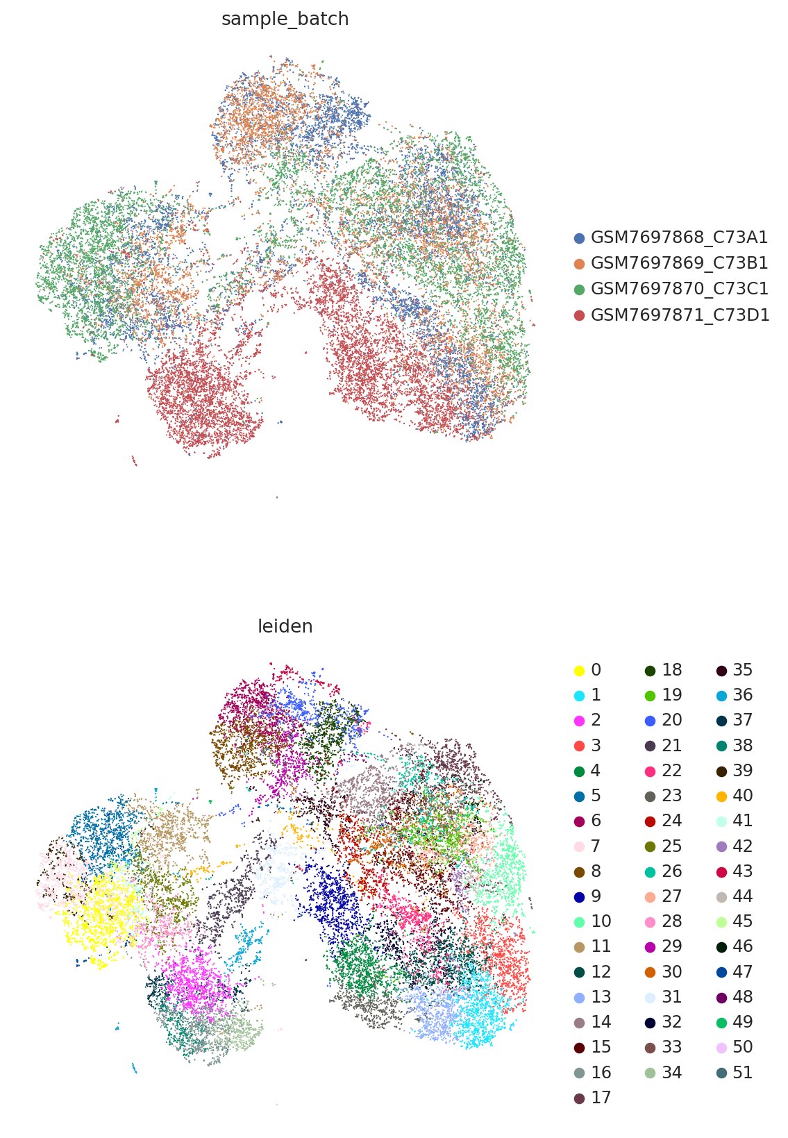 UMAP colored by sample batch and Leiden clusters