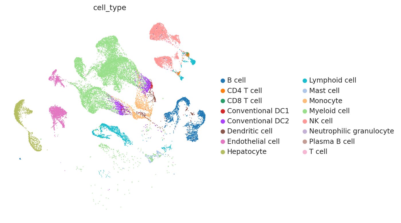 scMulan automatic cell type annotation
